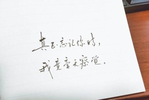 寻找自己_600字