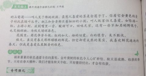合作组成：合作的力量_500字