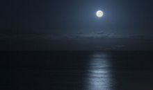 黑暗中的阳光_550字