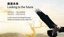 回首昨天，展望未来_600字