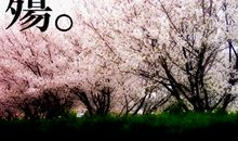 也许明天会更好_450字