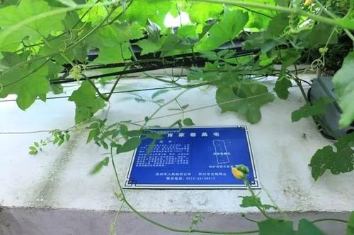 成千上万的风，周郎_2000字