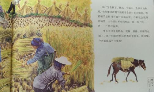 读后的菜读数