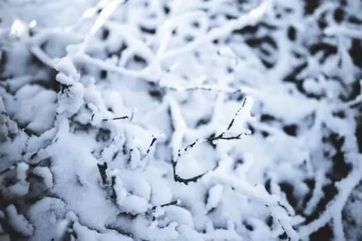雪飞_350字