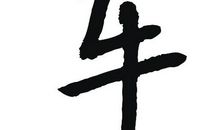 寂寞的季节_1000字