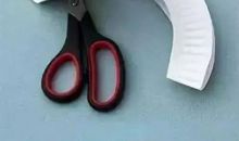 独一无二的小竹园_600字