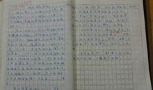 我变成了一只蚂蚁六年级作文