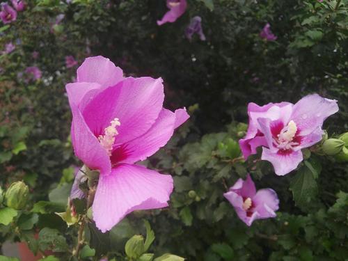 在秋雨的洗礼之后
