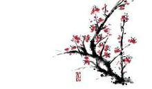 关于梅花的作文：梅花_250字