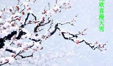 关于梅花的作文：我爱梅花_600字