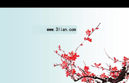 用李子的组成：我喜欢梅花_500字
