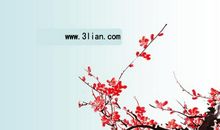 关于梅花的作文：我爱梅花_500字