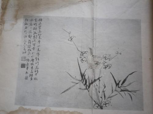梅花Zan，好评梅花_550字