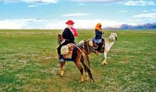 第一次骑电马_650字