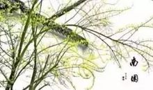 唐诗赋予我力量