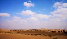 挥之不去的记忆_1000字