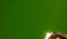 生命中的那缕阳光_1000字