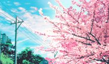 济南，在你的季节里感动_1200字