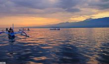 晨曦的感动_700字