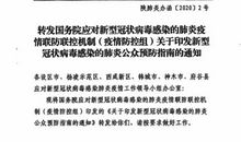 关于新型冠状病毒肺炎的作文：新型冠状肺炎的春节_1200字