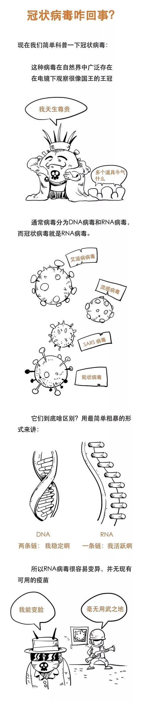 用新的冠状病毒肺炎：新冠状动脉病毒流行病_900字