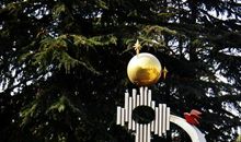 世上本没有路_750字