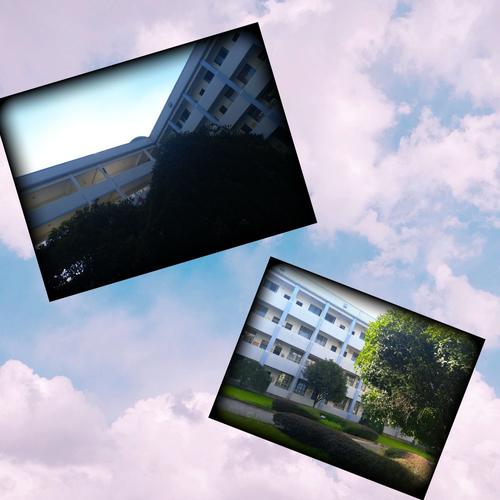高中你好