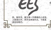 网络与生活_650字