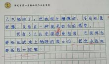 二年级观后感作文：上甘岭观后感_800字
