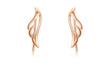 不用翅膀飞翔_400字