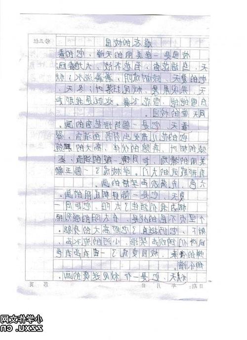 生活充满了风暴_700字