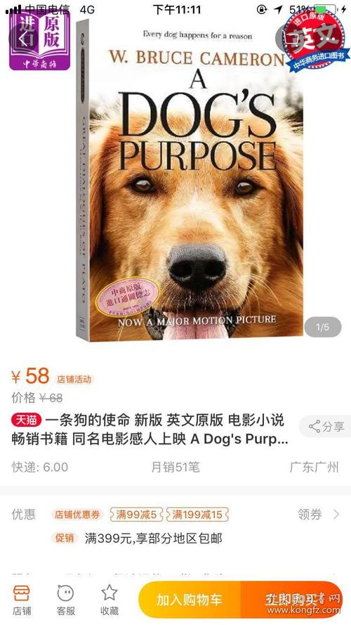 阅读“布鲁斯和蜘蛛”（在蓬松身上）_700字