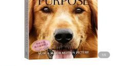 读《布鲁斯和蜘蛛》有感（于博涵）_700字