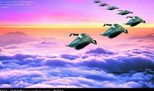 难忘的朋友_1200字