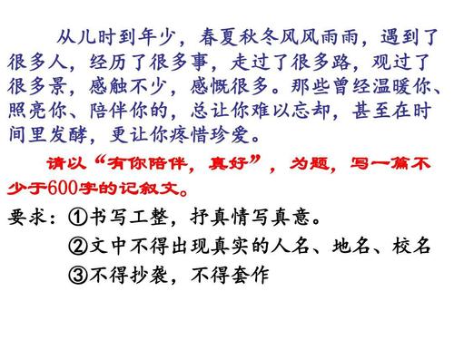 伴侣_800字