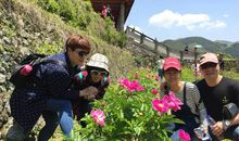 岁月,流连_750字