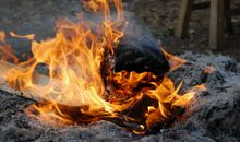 斗志是这样燃烧的_1200字