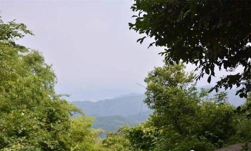 今年夏天有点痛苦