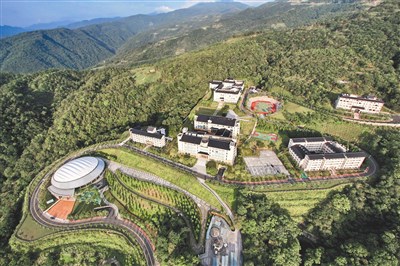 如果我住在水果王国_600字