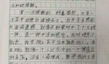 关于感动的作文：冰雪中的感动_650字