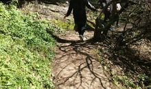 千山万水总是情_2000字