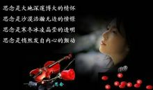 午夜的思念_600字