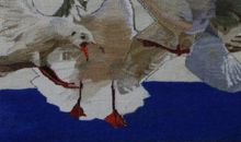 生命的空间_750字