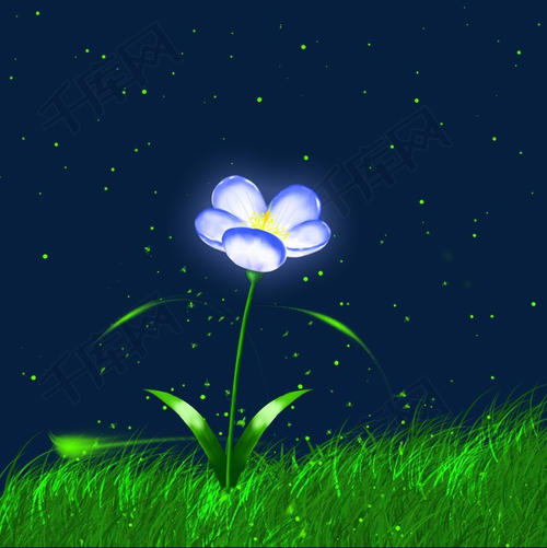 夜草