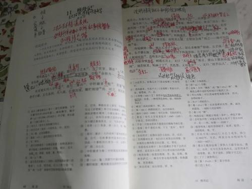 2019年，山东淄博充满了作文：你表现得很好“_450字
