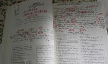 2019年山东淄博中考满分作文：你乖巧的样子真美_450字