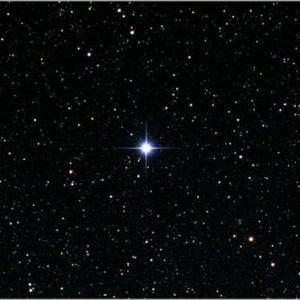 在夜空中珍惜最亮的星星