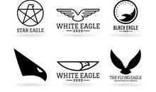 让雏鹰的翅膀不再沉重_1200字