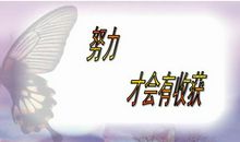 只有努力才会有收获_600字