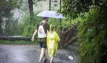 关于雷锋的作文:学习雷锋精神有感作文_550字